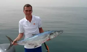 1566-s