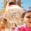 gallery-img-1