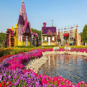 miraclegarden2