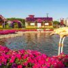miraclegarden3