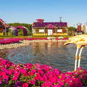 miraclegarden3