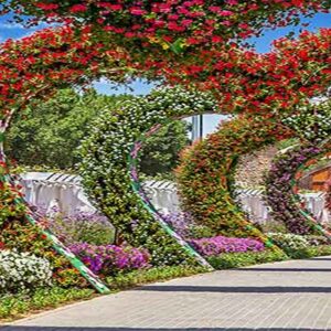 miraclegarden4