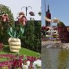 miraclegarden6